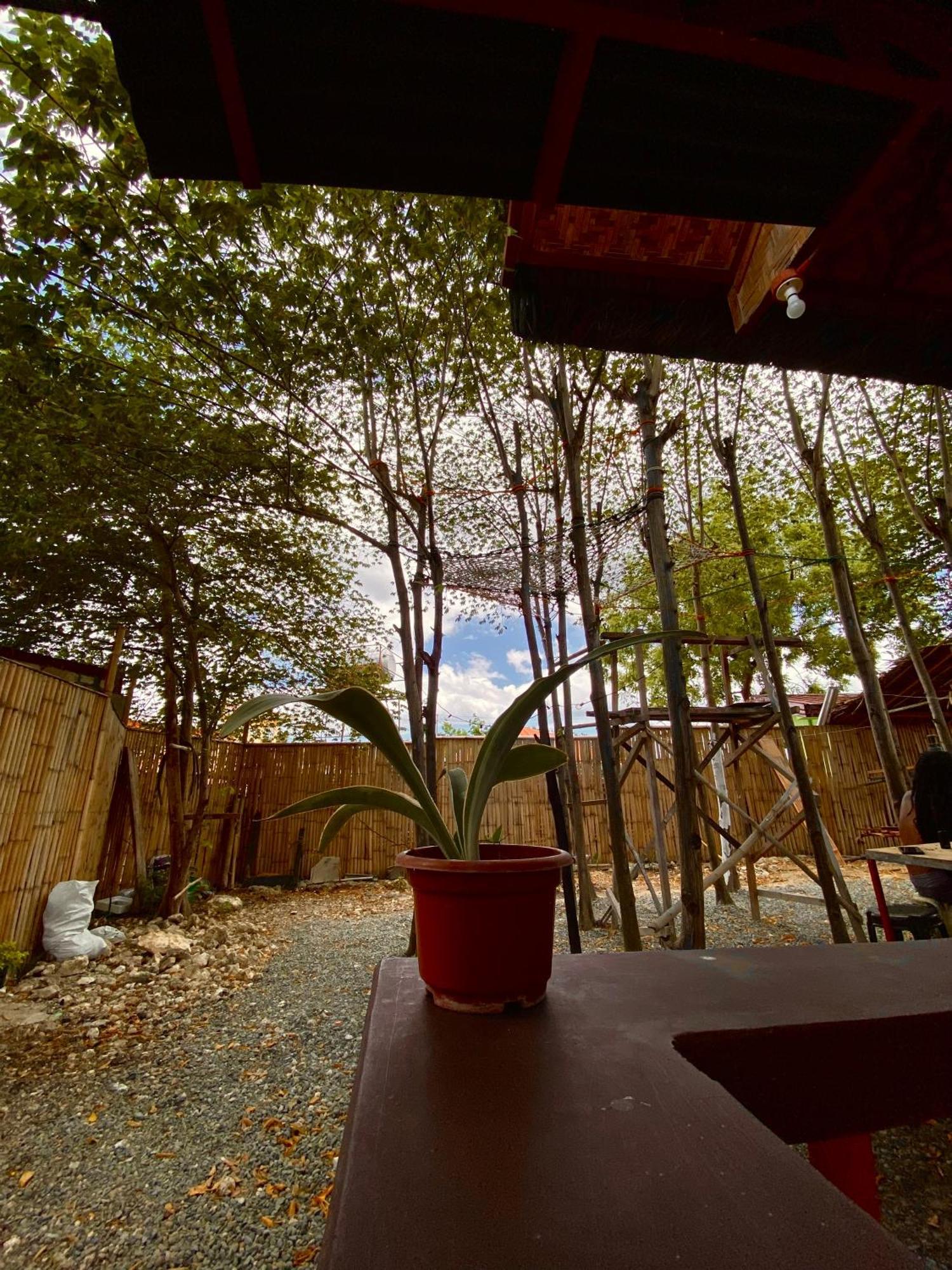 Moalboal Panagsama Beach Topbudz Hostel Dış mekan fotoğraf